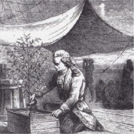 ¿Quién domina a quién? | Cafeto vs. Humano